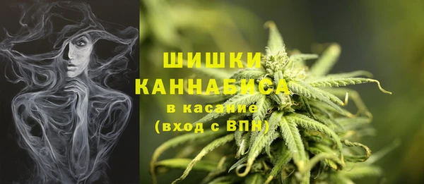 стаф Верея
