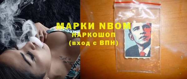 стаф Верея