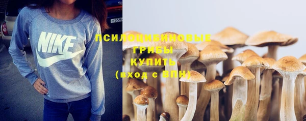 стаф Верея