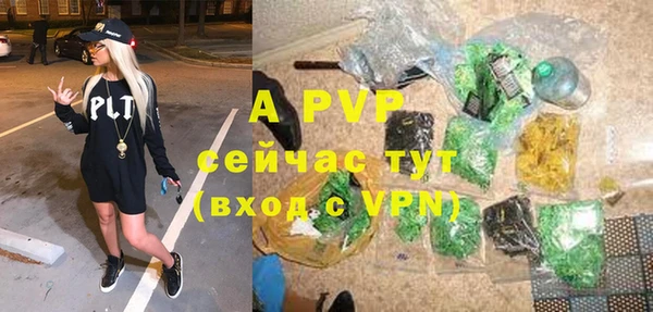 стаф Верея
