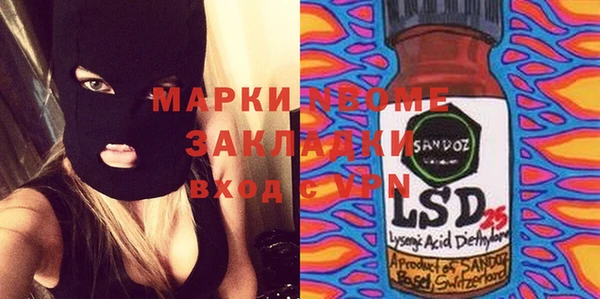 стаф Верея